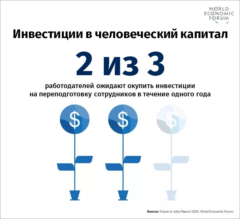 Инвестиции в человеческий капитал.jpg
